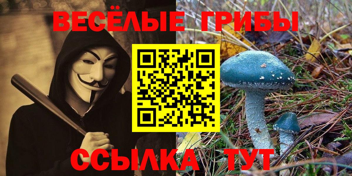 Галлюциногенные грибы Psilocybe Каменск-Уральский